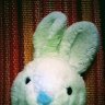 Bunnyboybob